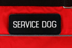 Service Dog Vest Harness Canine Light Weight Reflective Adjustable XXS - XL Size