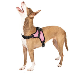 No Pull Adjustable Dog Pet Vest Harness Quality Nylon XS S M L XL XXL Extra Larg