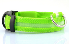 SAFETY LED Dog Pet Light Up Collar Night Glow Adjustable Bright 6 Color XS S L