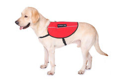 Service Dog Vest Harness Canine Light Weight Reflective Adjustable XXS - XL Size