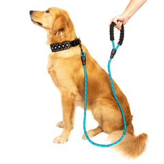 5FT Service Dog Rope Leash Lead Train Padded Handle Reflective Nylon M L Black